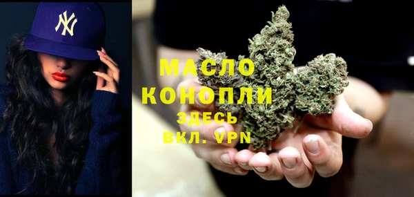 Альфа ПВП Бородино