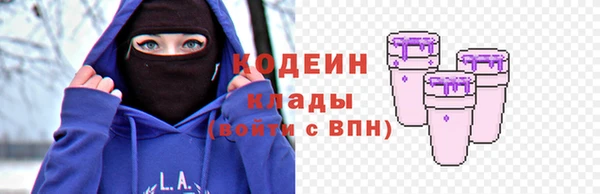 шишки Верея