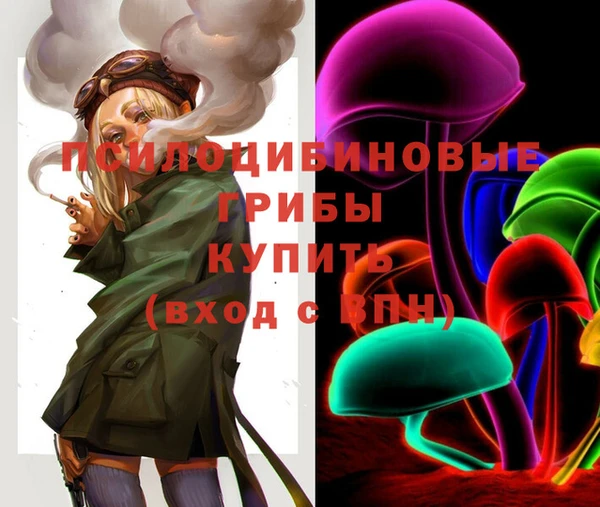 сатива Верхнеуральск