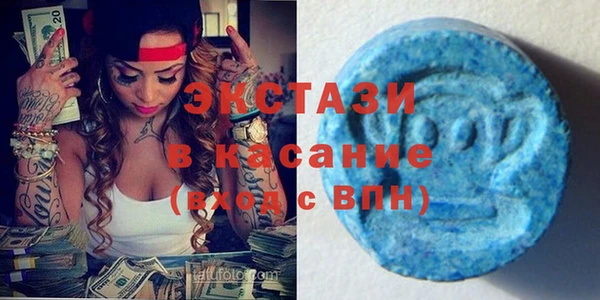 шишки Верея
