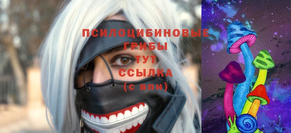 Альфа ПВП Бородино