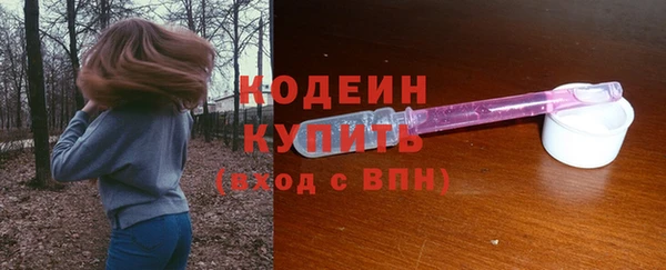 шишки Верея