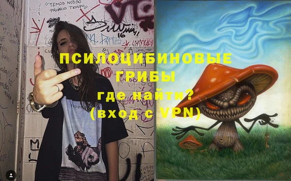 гашик Бронницы