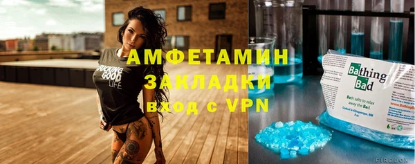 шишки Верея