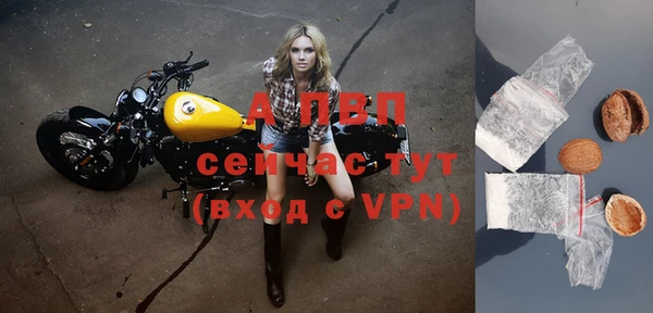 Альфа ПВП Бородино