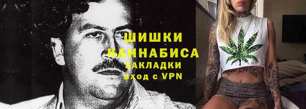 Альфа ПВП Бородино