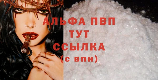 шишки Верея