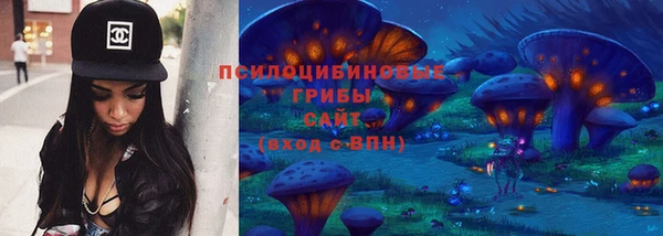 гашик Бронницы